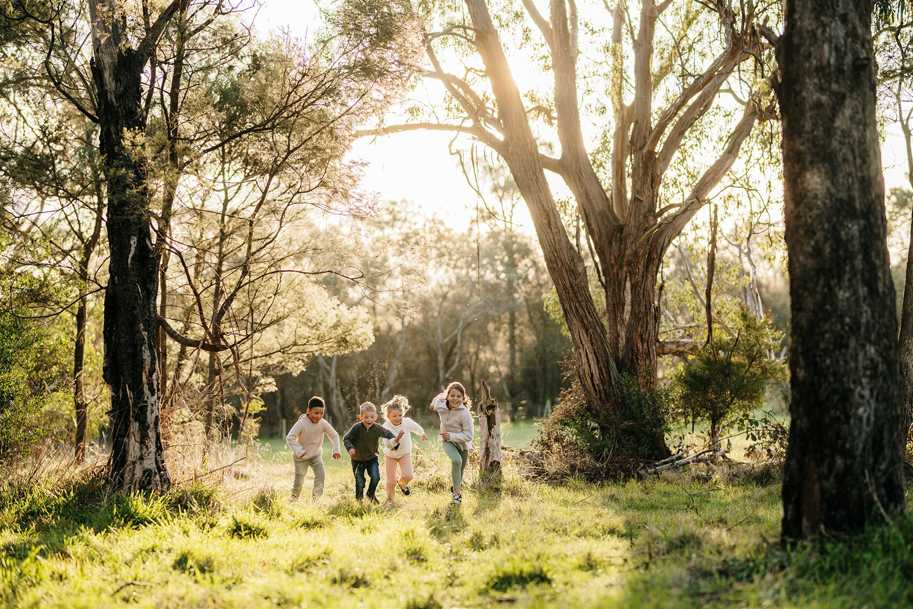 Country Club web banner